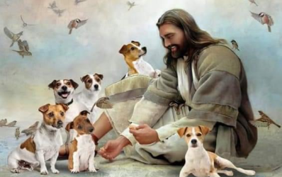 Jesus Surrounded By Puppies