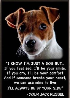 Jack Russell Dog Quote